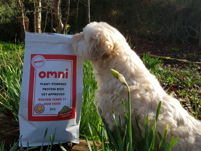 Coco the lhasa apso in a garden setting smelling a bag of Omni vegan dog food