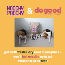 a publicity banner for Noochy Poochy and DoGood dog foods to promote their collaboration