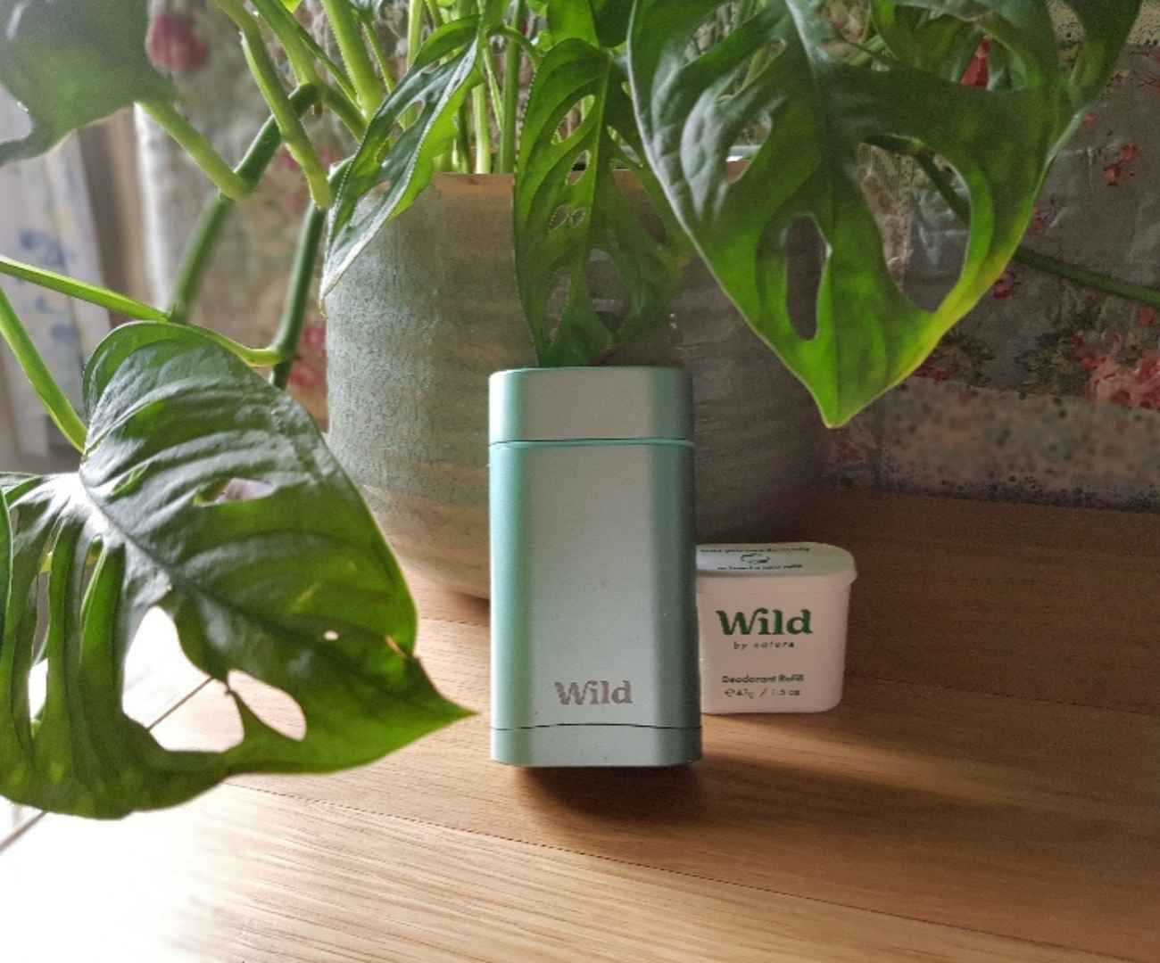 Wild natural deodorant case in pale metallic green in front of a pale green plant pot containing a 'monkey Mask' plant that has large lobed leaves with holes in. Slightly behind and to the right of the deodorant case is a Wild deodorant refill in a small white cardboard container, with the Wild branding in green lettering on the front. This image reflects this blog about the Wild deodorant review