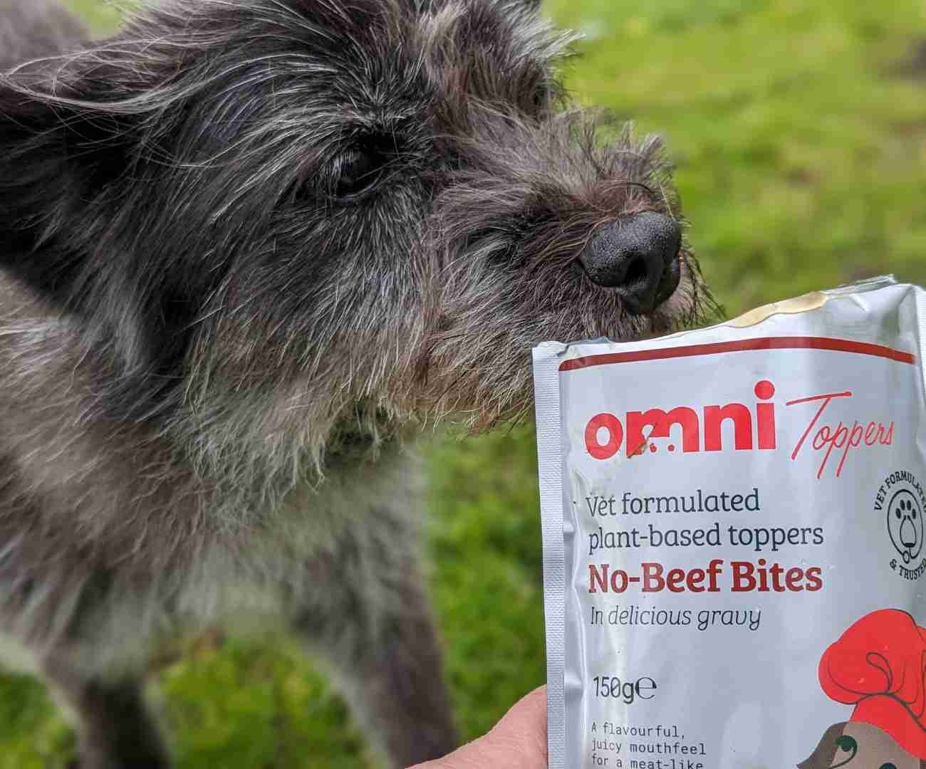 Image of Sundhi, a black dog with grey streaks in her fur, sniffing a silver coloured pouch which contains Omni Toppers vegan wet dog food. The pouch shows an image of a brown dog with a red chef's hat on and a wooden spoon in its mouth, and red and black lettering describing the contents - Omni Toppers no beef bites vegan wet dog food